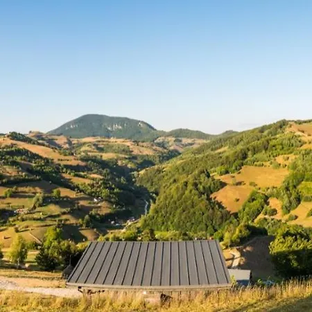 Casuta Din Valea Iepii Holiday home *
