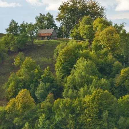 Holiday home Casuta Din Valea Iepii *