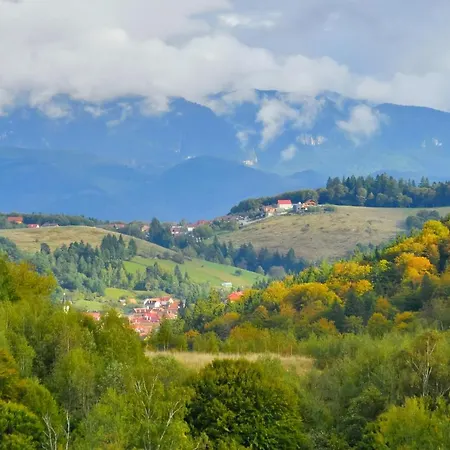 Casuta Din Valea Iepii *