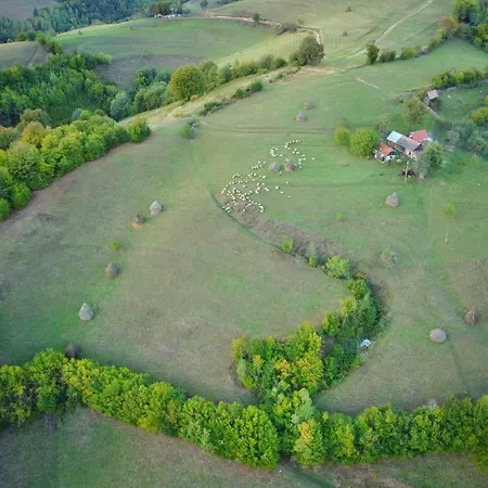 Casuta Din Valea Iepii Holiday home