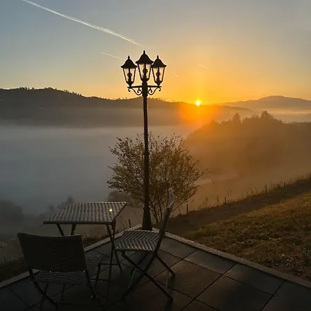 Casuta Din Valea Iepii Holbav