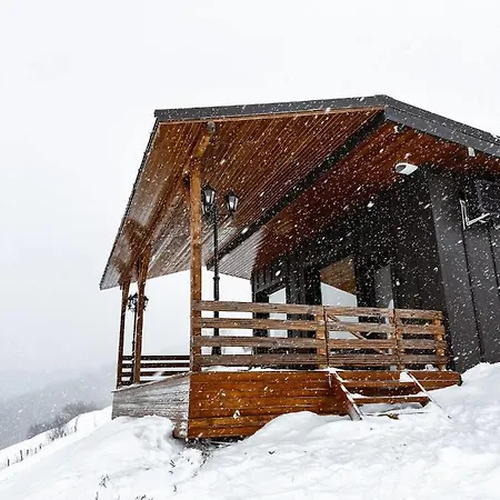 Holiday home Casuta Din Valea Iepii *